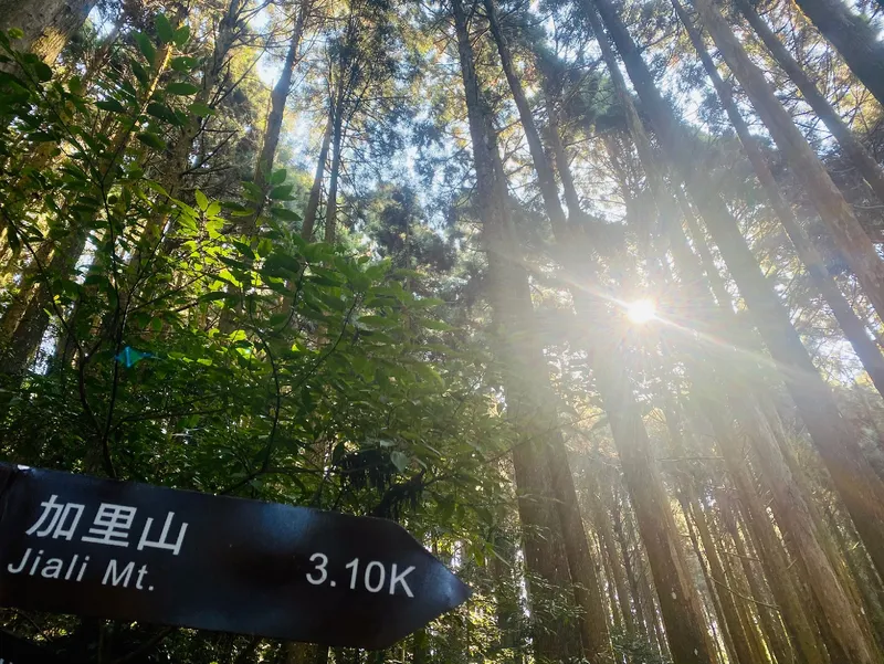 加里山登山口森林露營區