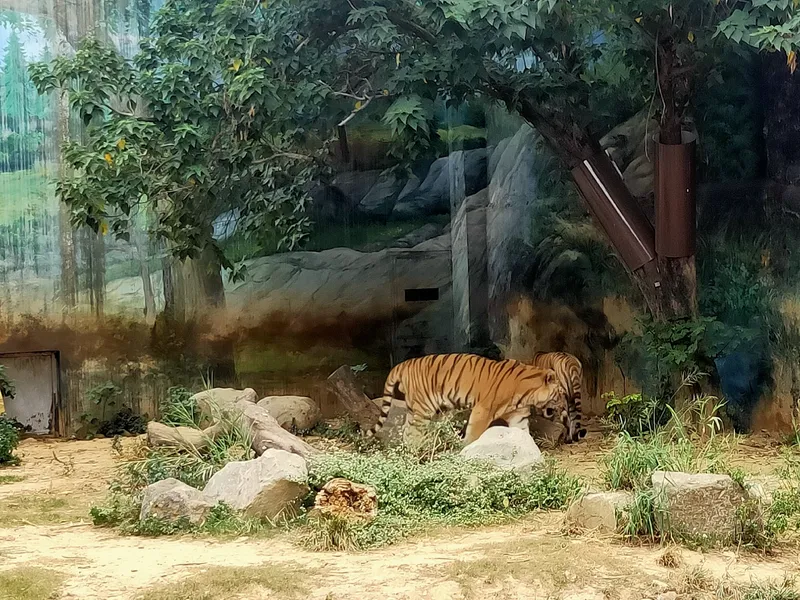 新竹市立動物園