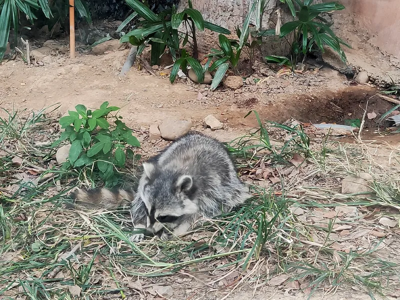 新竹市立動物園