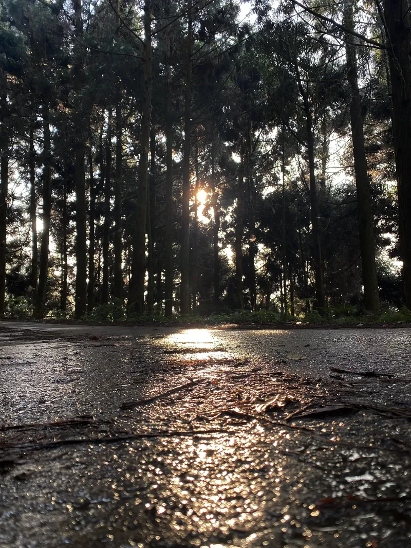 油羅山第三登山口