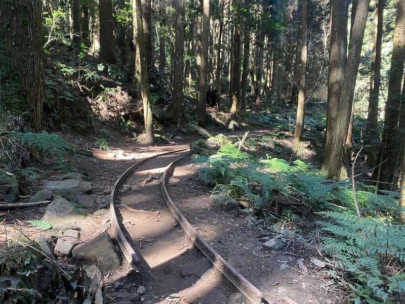 加里山登山口森林露營區