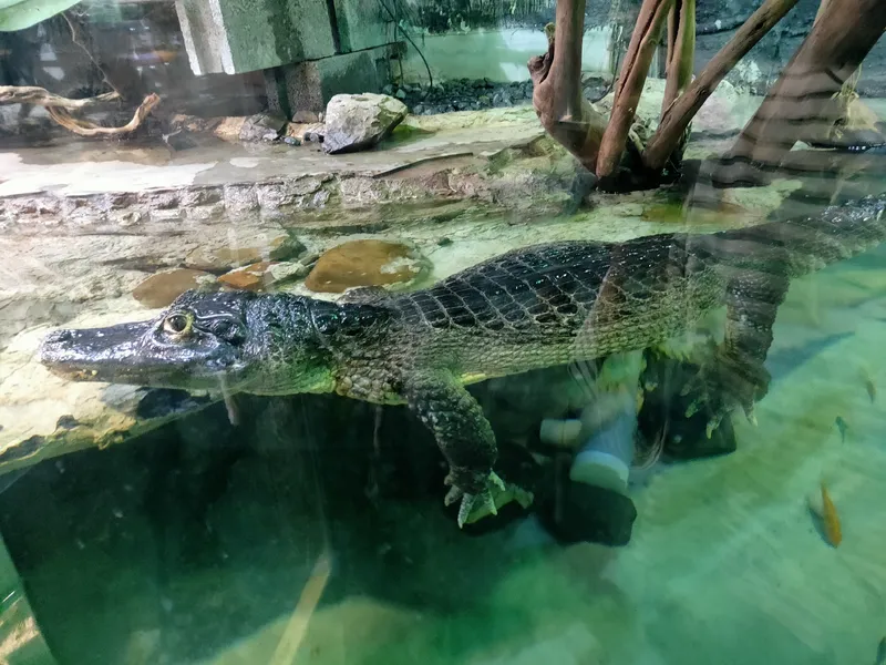 台灣昆蟲館 - 新竹館