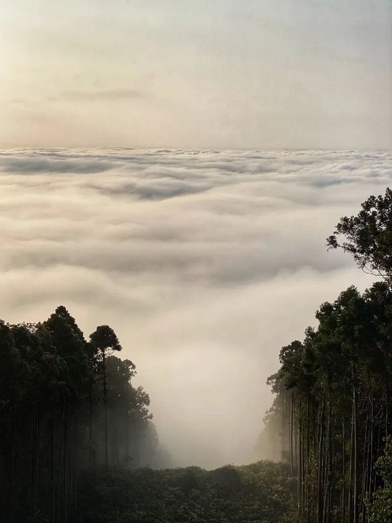 油羅山第三登山口