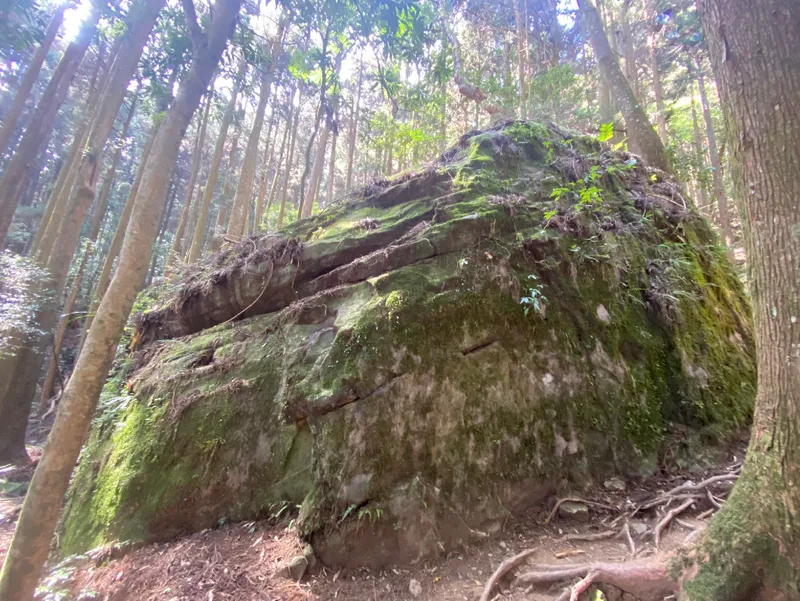 加里山登山口森林露營區