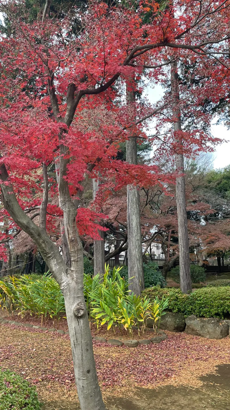 東京草津 