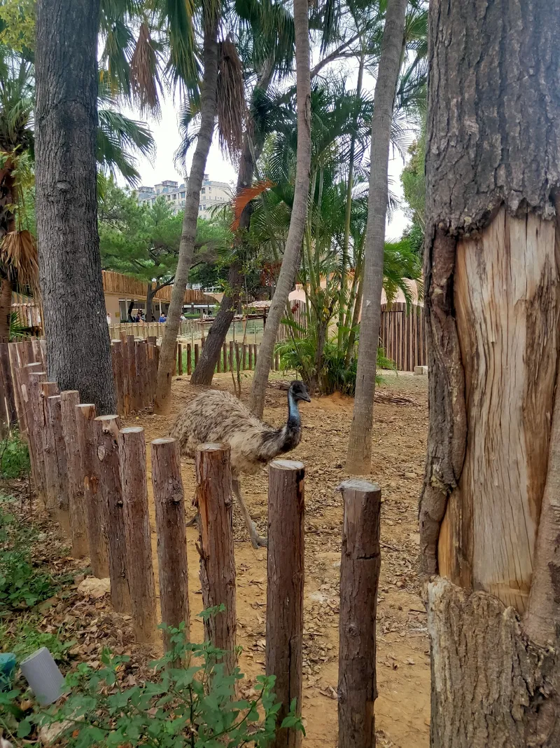 新竹市立動物園