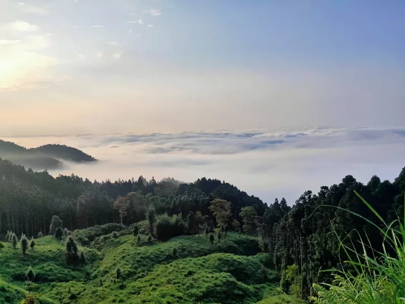 油羅山第三登山口