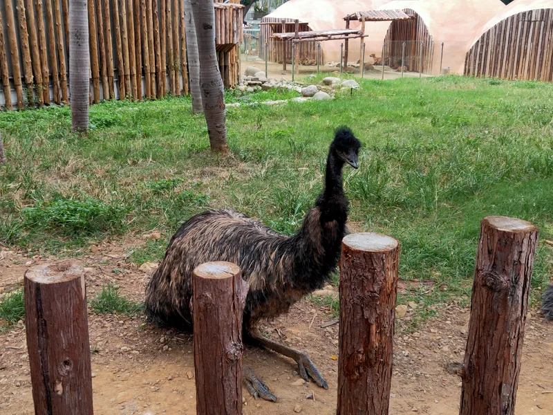 新竹市立動物園