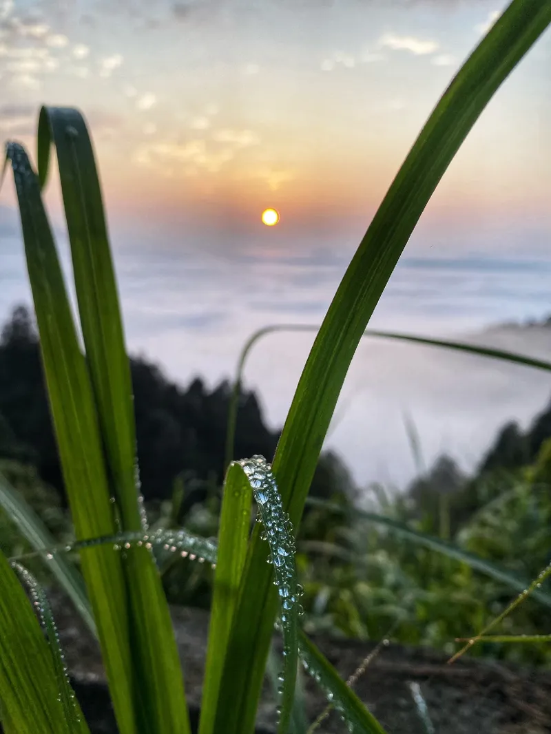 油羅山第三登山口