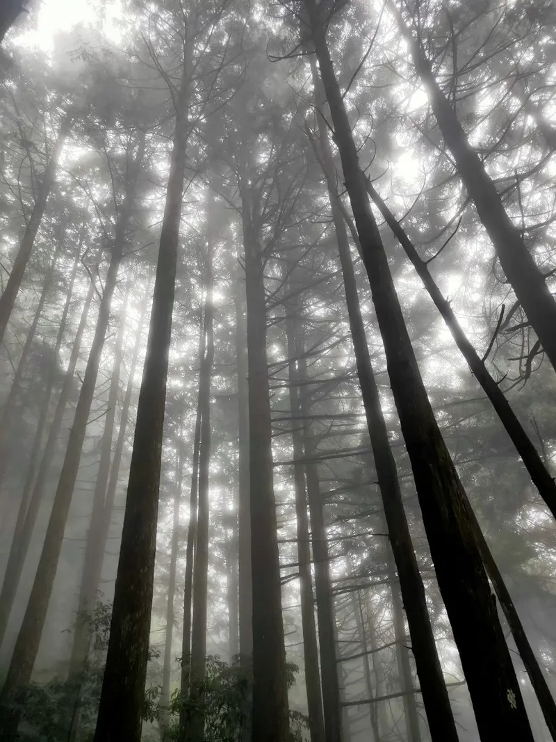 油羅山第一登山口