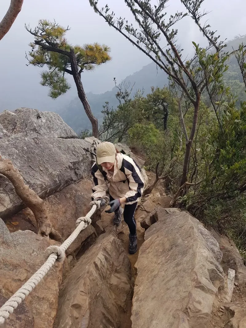 鳶嘴山步道登山口