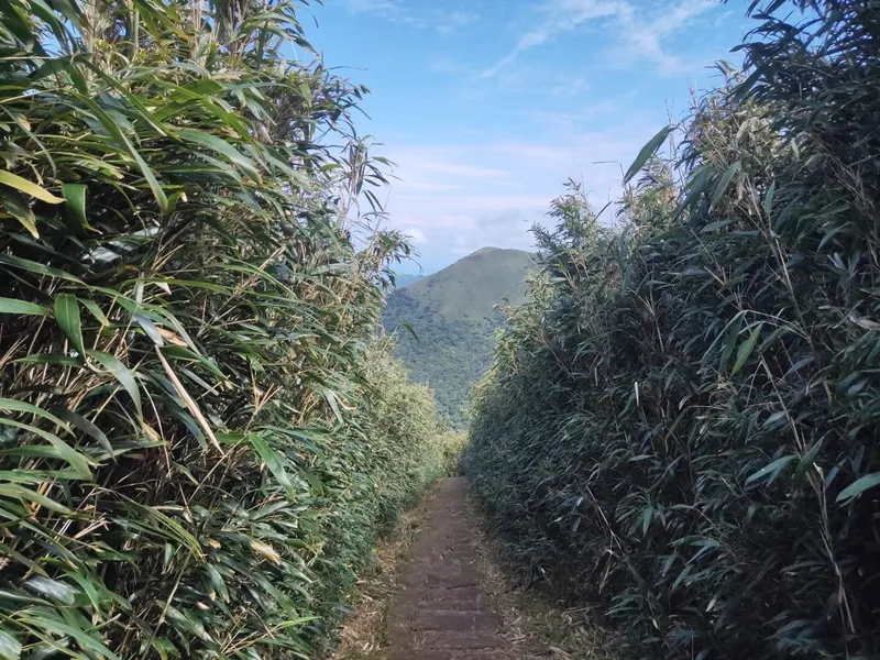 大屯主峰連峰步道