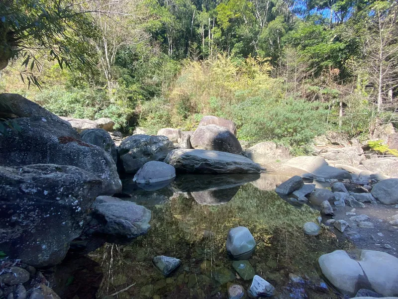 加里山登山口森林露營區