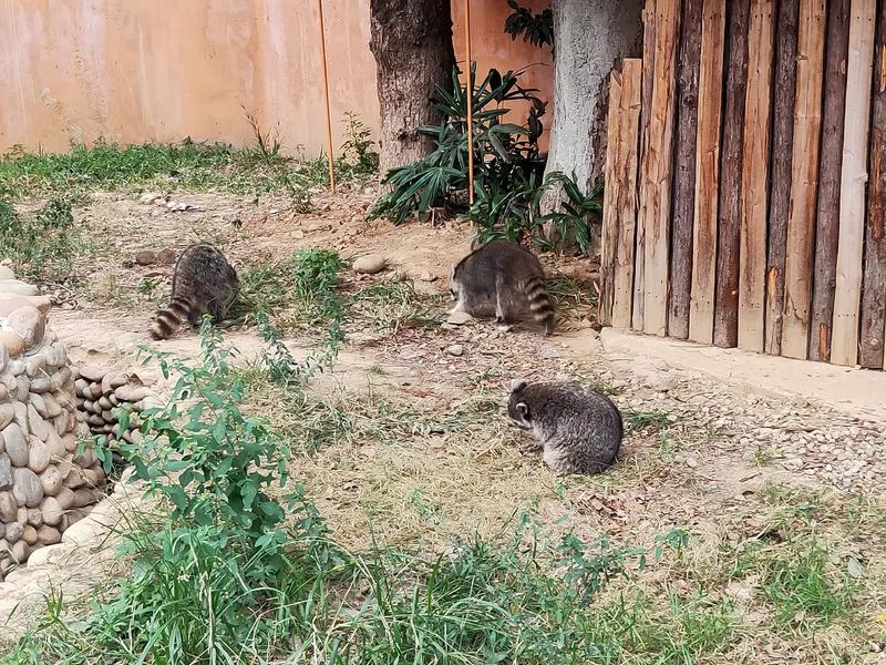 新竹市立動物園