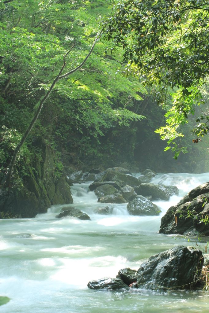 都会の喧騒を忘れて癒しのスポットへ 自然いっぱいの 埼玉県ときがわ町 へ日帰り旅 Funliday Japan Funliday Travel Blog