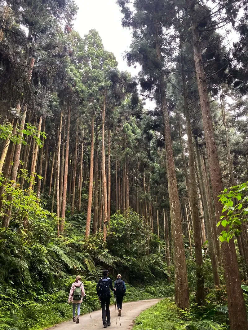 油羅山